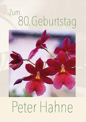 Cover for Peter Hahne · Zum 80. Geburtstag (Pamphlet) (2013)