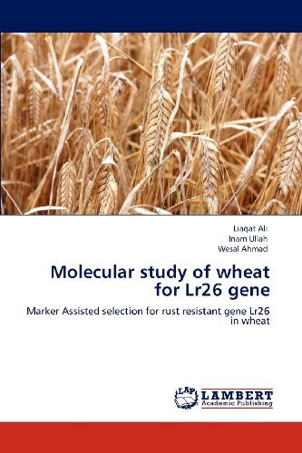 Cover for Wesal Ahmad · Molecular Study of Wheat for Lr26 Gene: Marker Assisted Selection for Rust Resistant Gene Lr26 in Wheat (Paperback Bog) (2012)