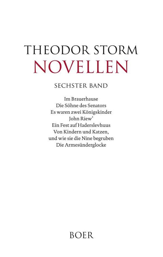 Cover for Storm · Novellen sechster Band (Bog)