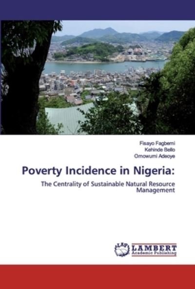 Cover for Fagbemi · Poverty Incidence in Nigeria: (Book) (2019)