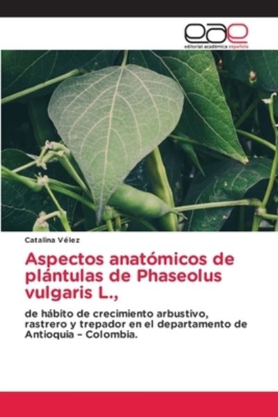 Aspectos anatómicos de plántulas - Vélez - Other -  - 9786203032222 - December 15, 2020