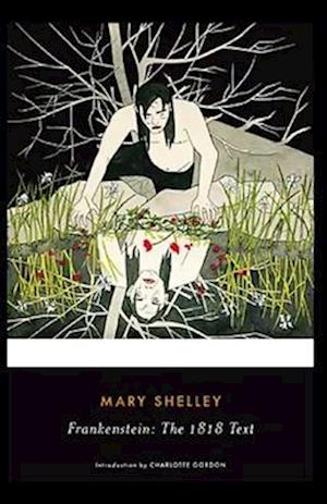 Cover for Mary W Shelley · Frankenstein illustrated (Paperback Book) (2021)