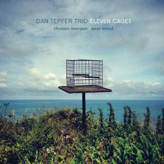 Eleven Cages - Dan -Trio- Tepfer - Musiikki - SUNNYSIDE - 0016728144223 - tiistai 28. kesäkuuta 2022