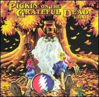 Pickin on the Grateful Dead: a Tribute / Various - Pickin on the Grateful Dead: a Tribute / Various - Musik - CMH - 0027297802223 - 20 maj 1997