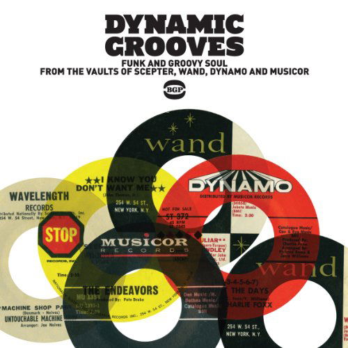 Cover for Dynamic Grooves / Various (CD) (2011)