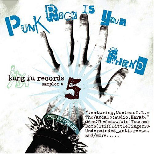 Punk Rock is Your Friend-sampl - Various Artists - Musikk - KUNG FU - 0610337883223 - 16. februar 2009