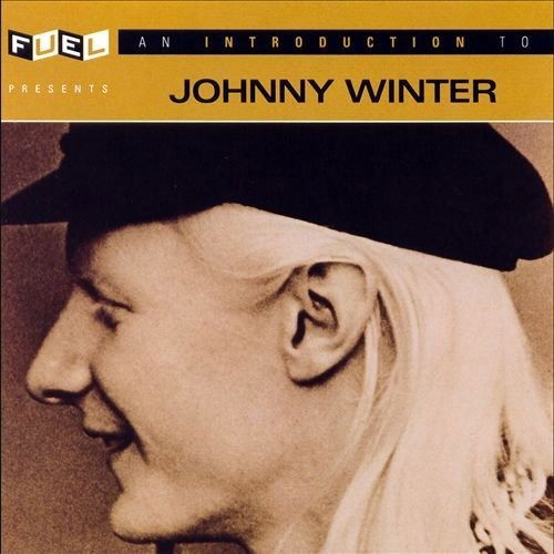 An Introduction to Johnny Winter - Johnny Winter - Musique - BLUES - 0620638044223 - 30 juin 1990