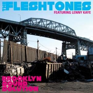 Cover for The Fleshtones · Brooklyn Sound Solution (CD) [Deluxe edition] [Digipak] (2011)