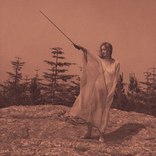 Ii - Unknown Mortal Orchestra - Music - JAGJAGUWAR - 0656605223223 - January 31, 2013