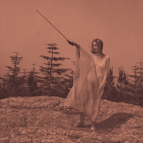 Cover for Unknown Mortal Orchestra · Ii (CD) (2013)