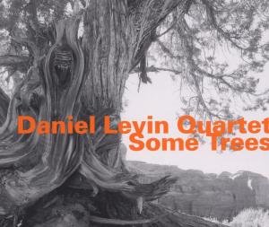 Some Trees - Daniel-Quartet Levin - Musiikki - Hat Hut Records - 0752156063223 - perjantai 18. elokuuta 2006