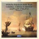 Cantatas & Sinfonias - Bach,w.f.e. / Schmitthusen / Crook / Schwarz / Max - Music - CPO - 0761203967223 - November 14, 2000