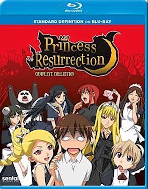 Cover for Princess Resurrection (Blu-ray) (2019)