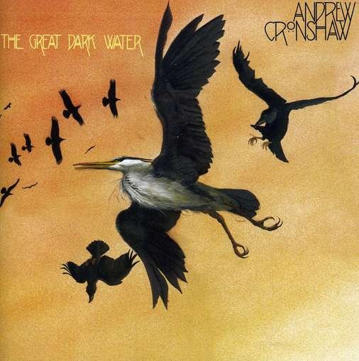 The Great Dark Water - Andrew Cronshaw - Musik - TRAPEZE - 0824046650223 - 6. juni 2011