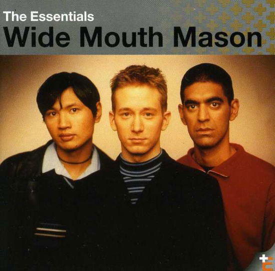 Cover for Wide Mouth Mason · Essentials (CD) (2005)