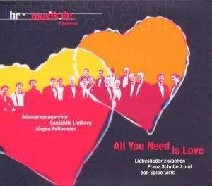 Cover for F. Schubert · All You Need (CD) (2008)
