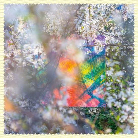 Four Tet · Sixteen Oceans (LP) (2024)