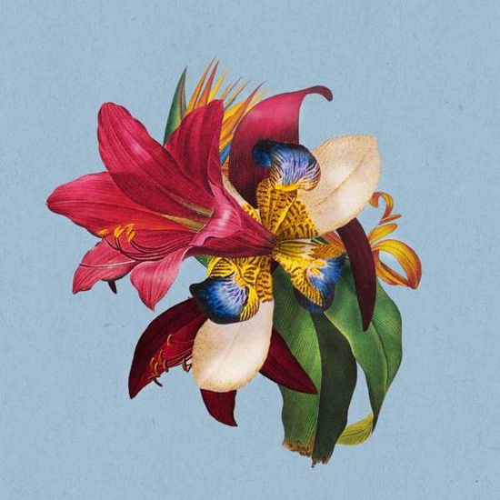 Feel Good (Feat. Khruangbin) (12') - Maribou State - Muziek - COUNTER RECORDS - 5054429134223 - 10 augustus 2018