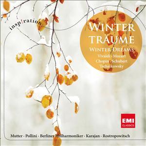 Cover for Wintertraume-winter Dreams (CD) (2010)