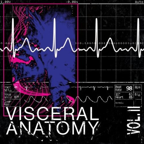 Cover for Visceral Anatomy · Vol Ii (CD) (2023)