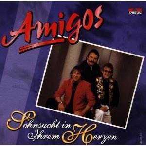 Sehnsucht in Ihrem Herzen - Amigos - Music - TYRO - 9003548510223 - December 31, 1994
