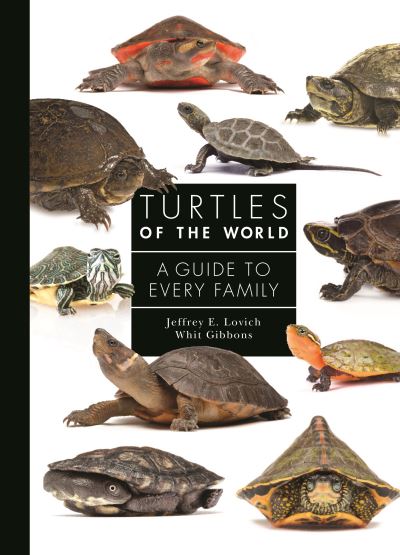 Cover for Lovich, Jeffrey E. (Co-Deputy Chief, Terrestrial Ecosystems Drylands Branch) · Turtles of the World: A Guide to Every Family - A Guide to Every Family (Hardcover Book) (2021)