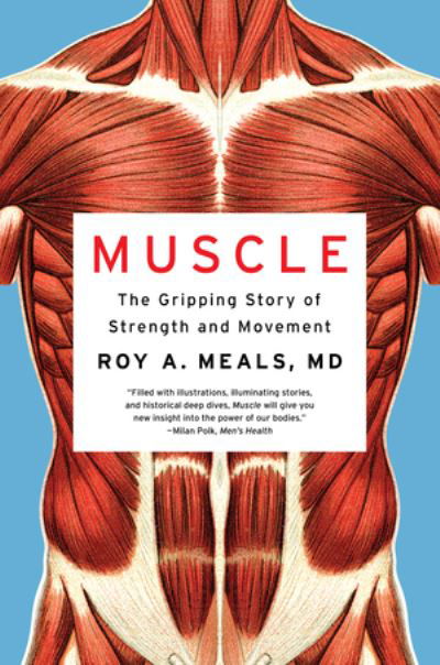 Cover for Meals, Roy A. (UCLA) · Muscle: The Gripping Story of Strength and Movement (Paperback Book) (2024)