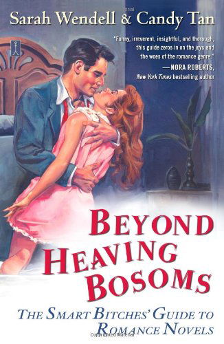 Cover for Sarah Wendell · Beyond Heaving Bosoms: The Smart Bitches' Guide to Romance Novels (Paperback Book) [Original edition] (2009)