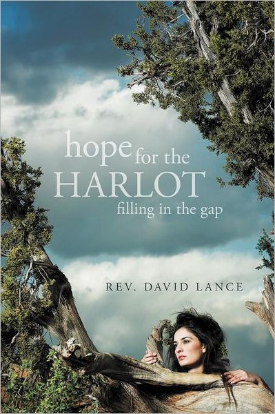 Cover for Rev David Lance · Hope for the Harlot: Filling in the Gap (Paperback Book) (2011)