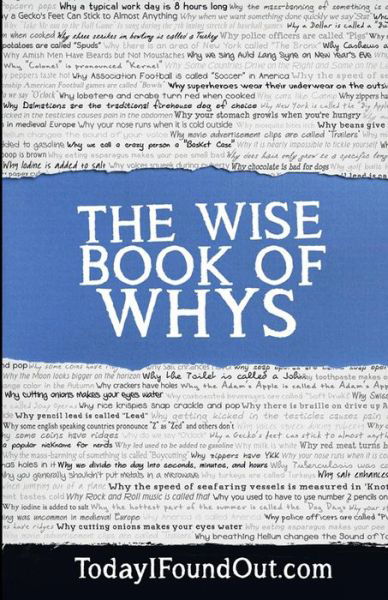 Cover for Today I Found out Com · The Wise Book of Whys (Pocketbok) (2013)