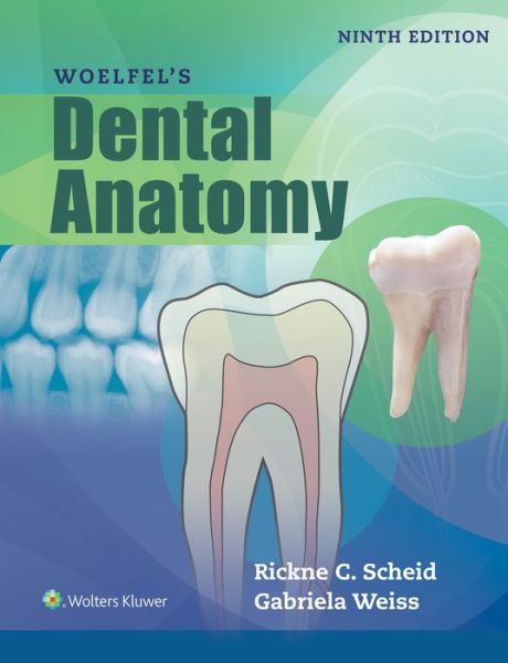 Cover for Rickne C. Scheid · Woelfels Dental Anatomy (Paperback Book) (2016)