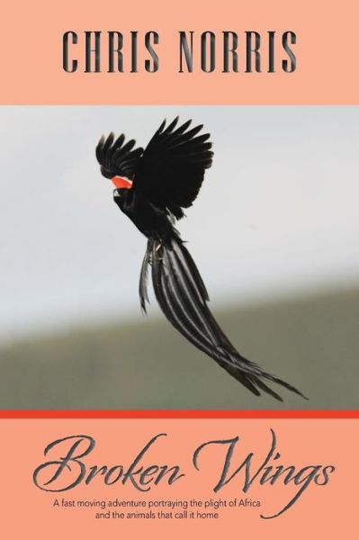 Cover for Chris Norris · Broken Wings (Paperback Book) (2014)