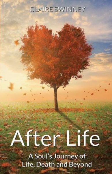 Cover for Claire Swinney · After Life: a Soul's Journey of Life, Death and Beyond (Pocketbok) (2015)