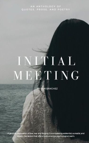 Cover for N M Sanchez · Initial Meeting (Taschenbuch) (2018)
