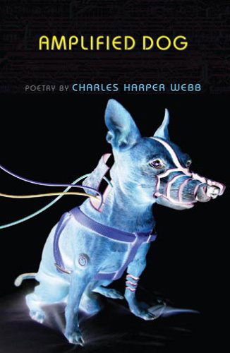 Cover for Charles Harper Webb · Amplified Dog (Paperback Book) (2006)