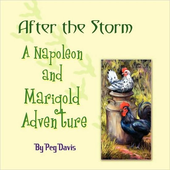 Cover for Peg Davis · After the Storm (Pocketbok) (2009)