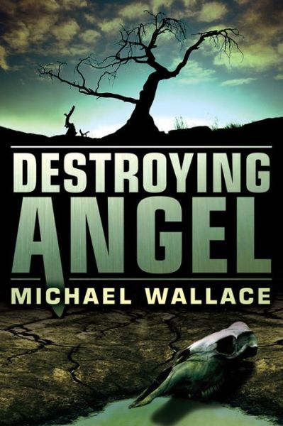 Cover for Michael Wallace · Destroying Angel - Righteous (Paperback Book) (2013)