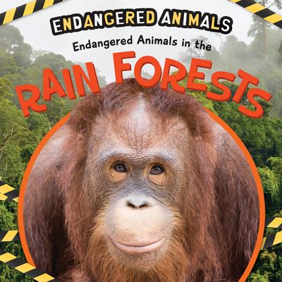 Cover for Emilie DuFresne · Endangered Animals in the Rain Forest (Taschenbuch) (2021)