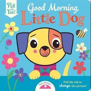 Cover for Holly Hall · A busy day for Little Dog - Push Pull Stories (Board book) (2021)