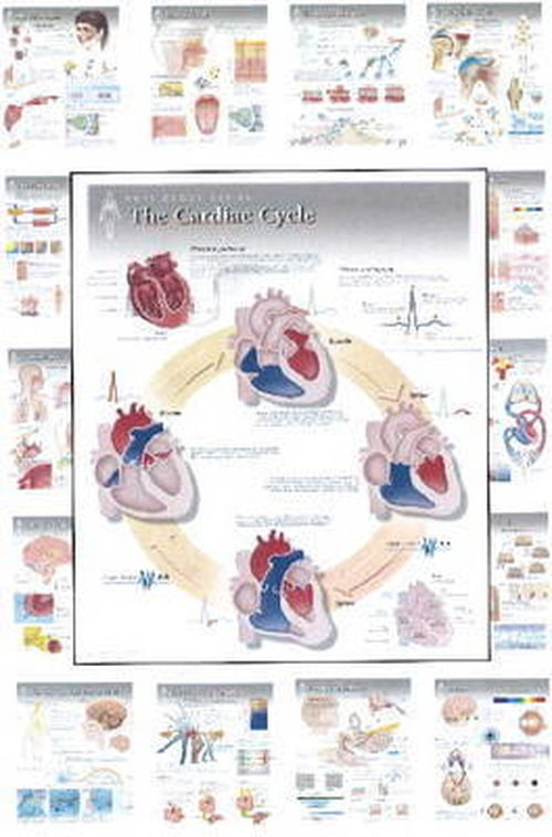 Cover for Scientific Publishing · Complete Set of All 20 Physiology Charts (Kartor) (2013)