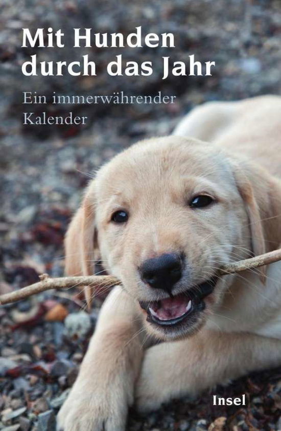 Cover for Gesine Dammel · Insel TB.4322 Mit Hunden durch das Jahr (Book)