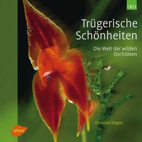 Cover for Ziegler · Trügerische Schönheiten (Book)