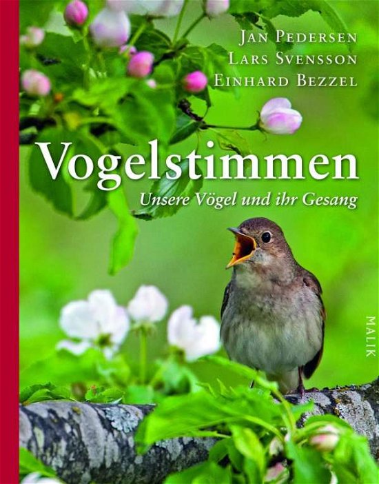 Cover for Pedersen · Vogelstimmen,m.Abspielgerät (Bog)