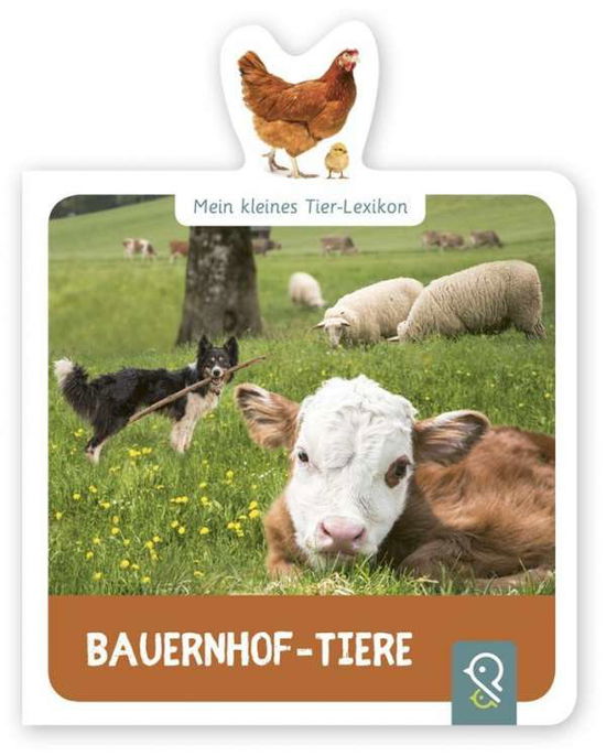 Cover for Kastenhuber · Bauernhof-Tiere (Book)