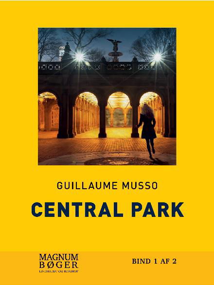 Cover for Guillaume Musso · Central Park (storskrift) (Inbunden Bok) [1:a utgåva] (2017)