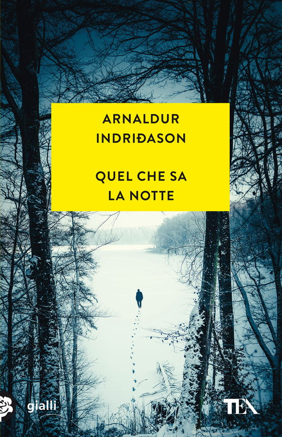 Cover for Arnaldur Indriðason · Quel Che Sa La Notte (Book)