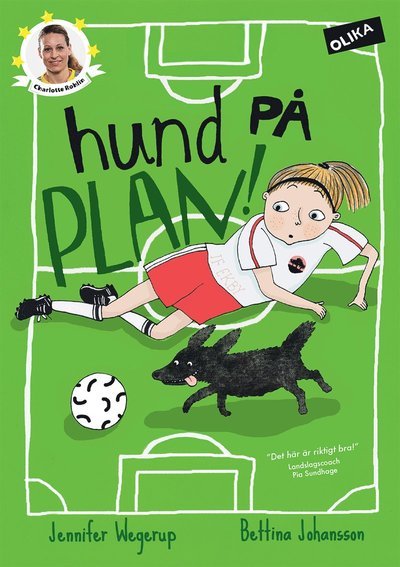 Cover for Jennifer Wegerup · Fotbollsstjärnor: Hund på plan! (Inbunden Bok) (2015)