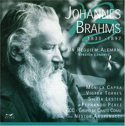 Cover for Brahms / Rilling / Grupo De Conto Coral · German Requiem (CD) (2000)
