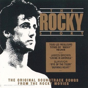 Songs from Rocky movies - The Rocky Story - Musikk - POLYG - 0042284824224 - 28. juli 1998