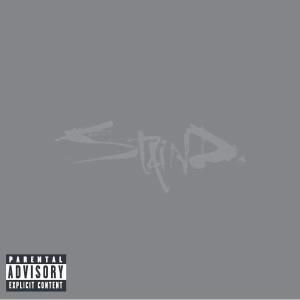 14 Shades of Grey - Staind - Musik - VENTURE - 0075596288224 - 26. Mai 2003